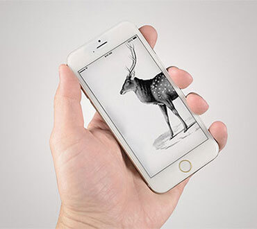 Smartphone